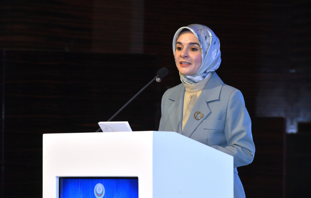 Türkiyənin ailə və sosial xidmətlər naziri: Dezinformasiyanın sürətlə yayılması uşaqlar üçün əlavə təhlükə mənbəyidir VİDEO