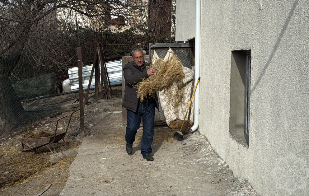 Qırmızı Bazar qəsəbəsində həyat yenidən canlanır: Sakinlər özünüməşğulluq proqramı ilə təsərrüfatlarını qururlar VİDEO