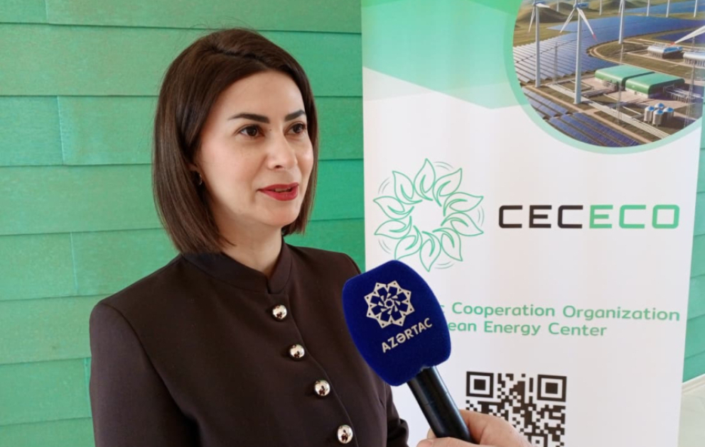 Aysel Yaqubova: TEM-in məqsədi milli və regional yaşıl enerji layihələri üçün əlavə imkanlar yaratmaqdır VİDEO