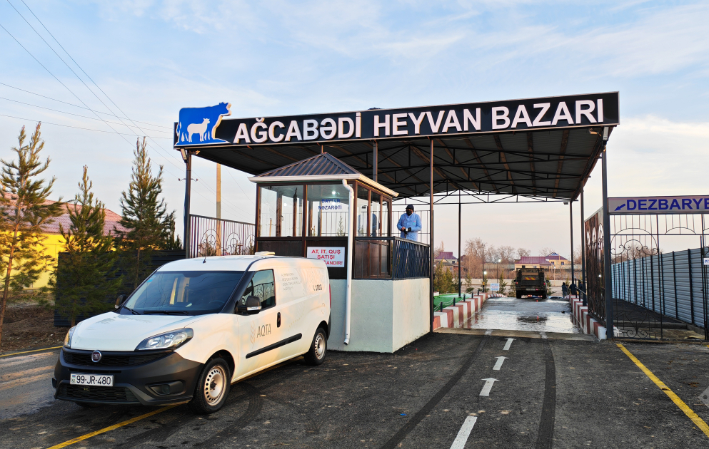 Ağcabədidə heyvan satışı bazarı fəaliyyətə başlayıb VİDEO