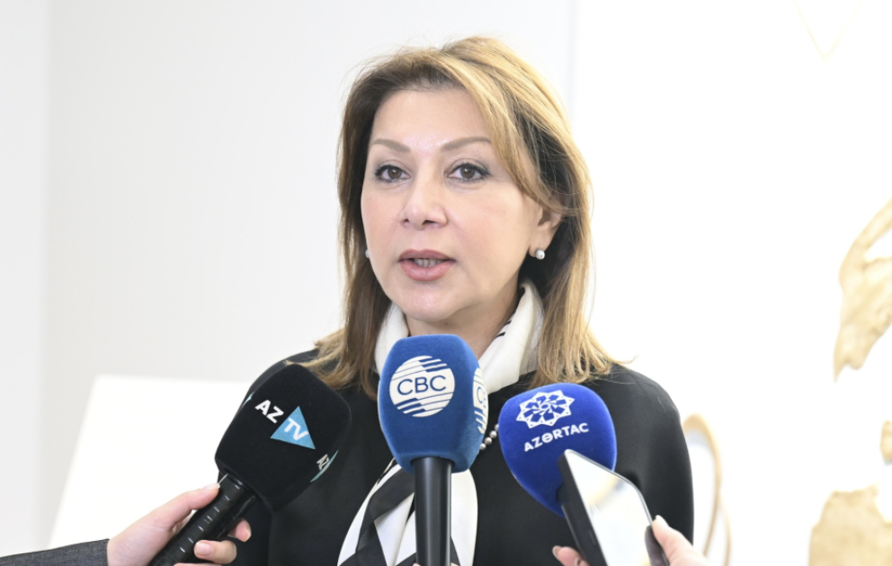 Aytən Qəhrəman: Gənclərimizə tolerantlığın, insan hüquqlarına hörmətin vacibliyini çatdırırıq VİDEO