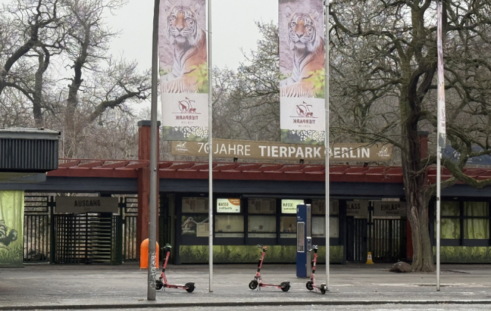 Из Германии в Азербайджан отправлены 18 зубров ВИДЕО