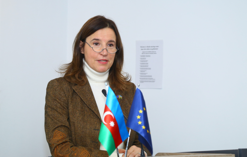 Aİ səfiri: Şəhərlər iqlim dəyişikliyi ilə mübarizənin ön cəbhəsindədir VİDEO