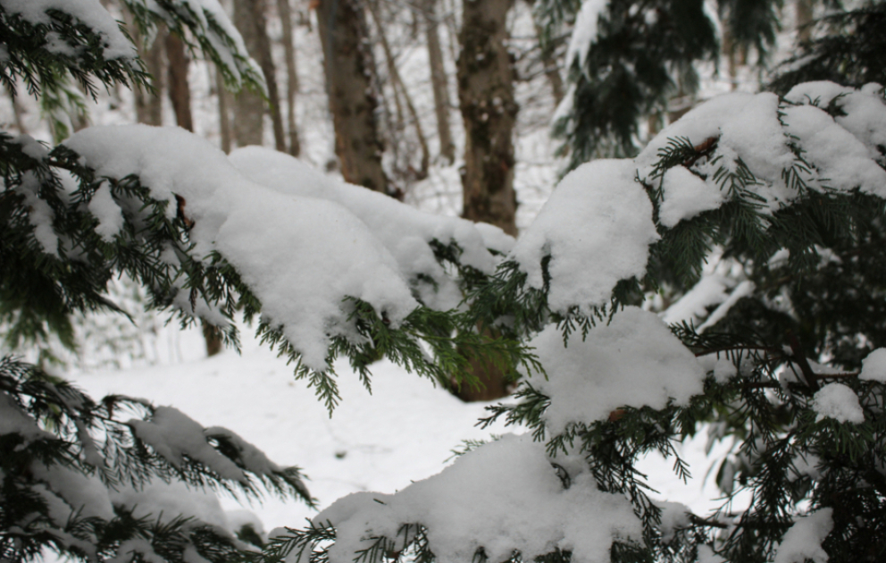 Sabah axşam yağıntılar tədricən kəsiləcək VİDEO