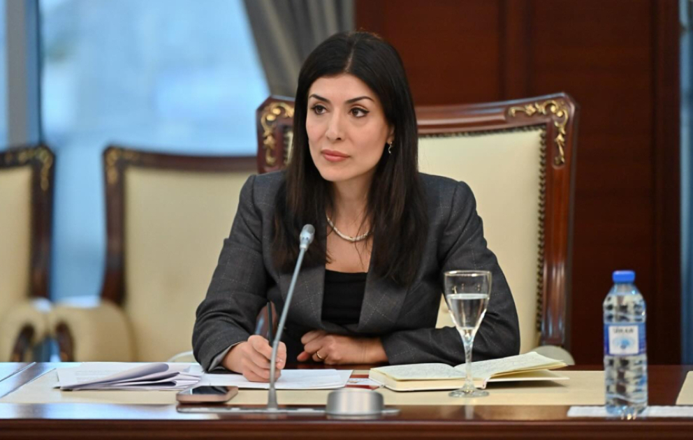 Nigar Arpadarai: Azərbaycanın kibercinayətkarlıqla mübarizə aparmağa imkan verən beynəlxalq mexanizmlərə qoşulması qaçılmazdır VİDEO