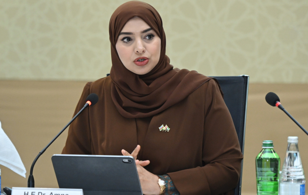 BƏƏ-li nazir: Azərbaycanla olan Hərtərəfli İqtisadi Tərəfdaşlıq Sazişi faydalı əlaqələrin qurulması üçün möhkəm təməl yaradıb VİDEO