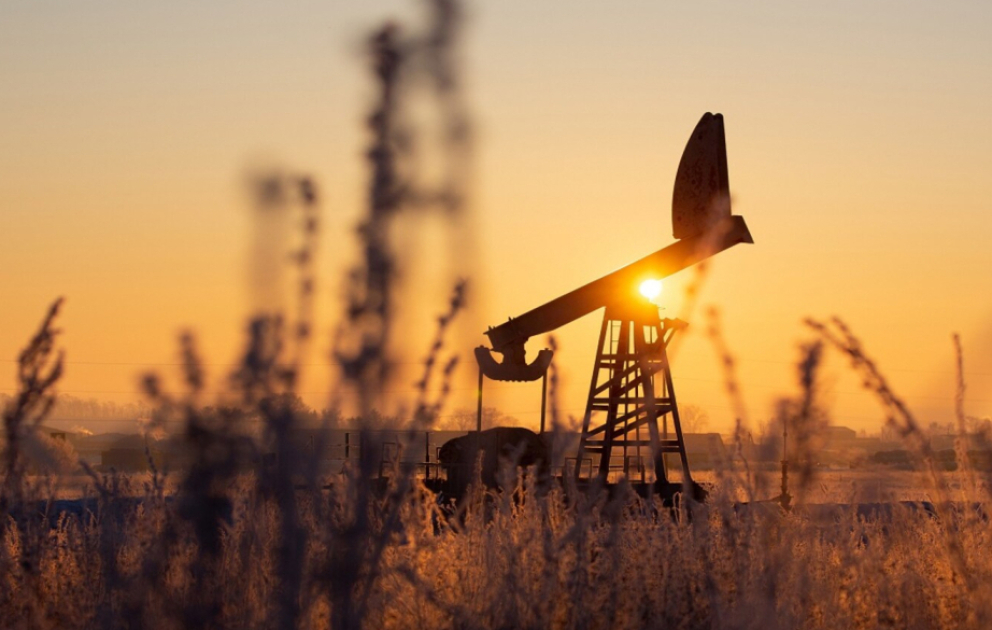 Oil prices rise on global exchanges VIDEO