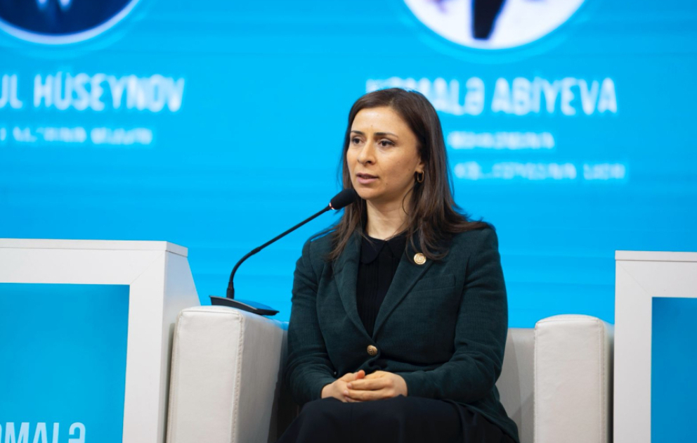 Kollegiya sədri: İnsan taleyini həll edən qərarların süni intellektə həvalə edilməsi böyük təhlükə ilə nəticələnə bilər VİDEO