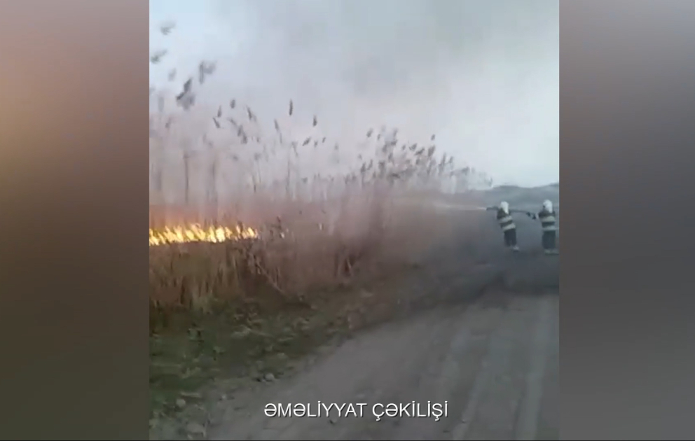 Cəbrayıl rayonu ərazisində yanğının qarşısı alınıb VİDEO