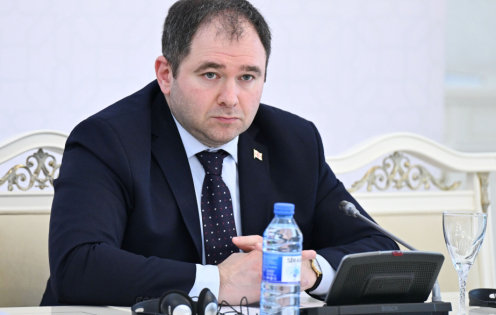 Nikoloz Şamxaradze: Gürcüstan regionda davamlı sülhün təmin olunması üçün töhfə verməyə hazırdır VİDEO
