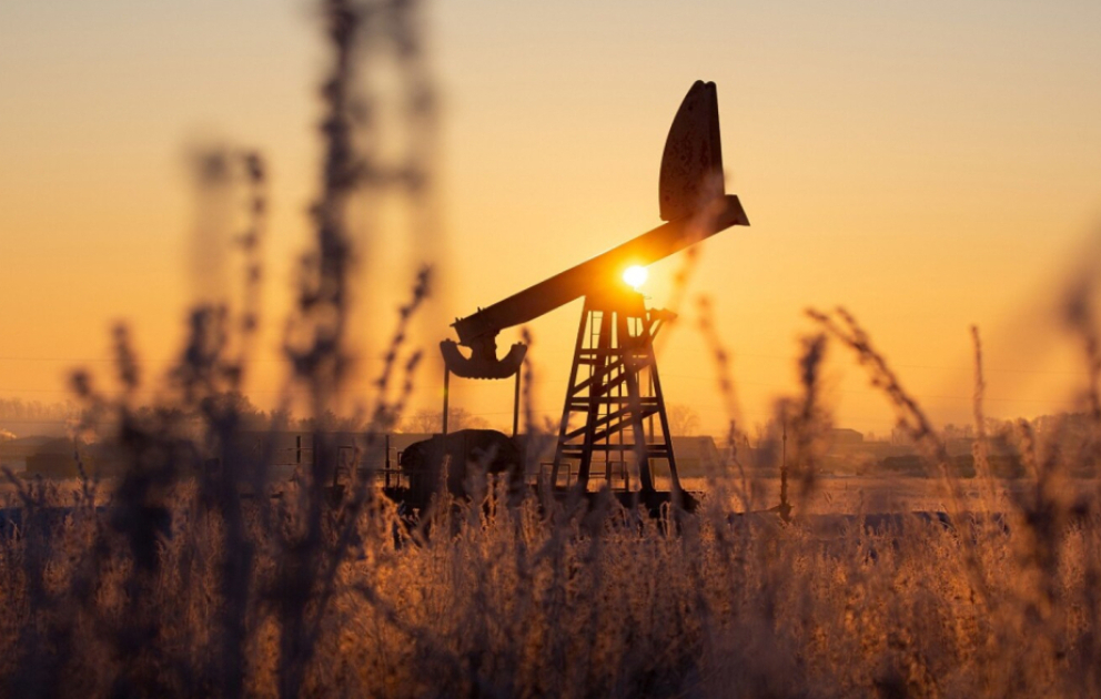 Preis für ein Fass der der WTI zugelegt VIDEO