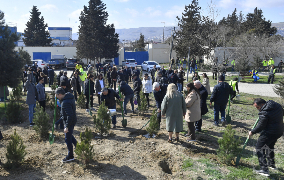 AZERTAC marks 106th anniversary with 106 tree-planting contributions VIDEO