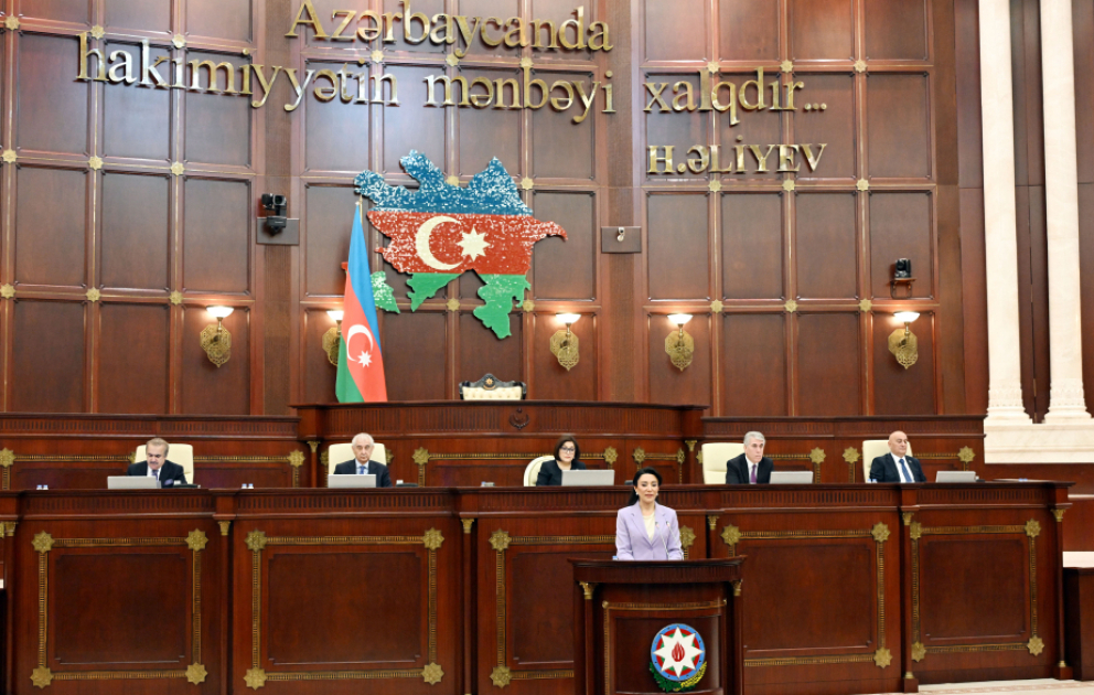 Parlamentdə ombudsmanın ölkədə insan hüquqlarının qorunması haqqında illik məruzəsi dinlənilib VİDEO