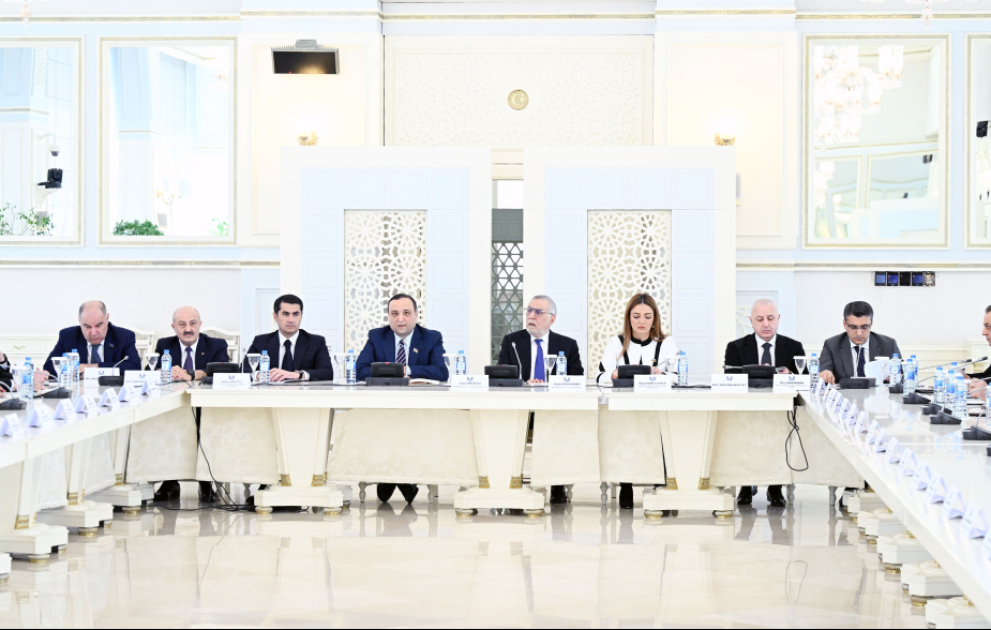 Milli Məclisdə idman sahəsinin bəzi aktual məsələləri ilə bağlı fikirlər səsləndirilib VİDEO