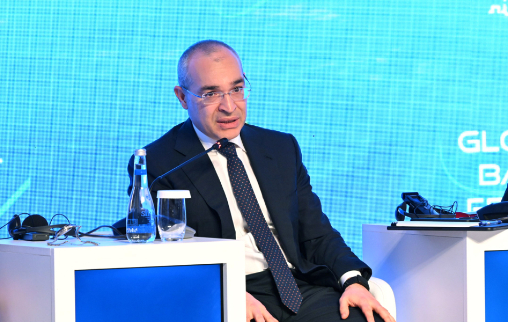 Nazir: Orta Dəhliz qarşılıqlı yük tranziti baxımından mühüm əhəmiyyət kəsb edir VİDEO