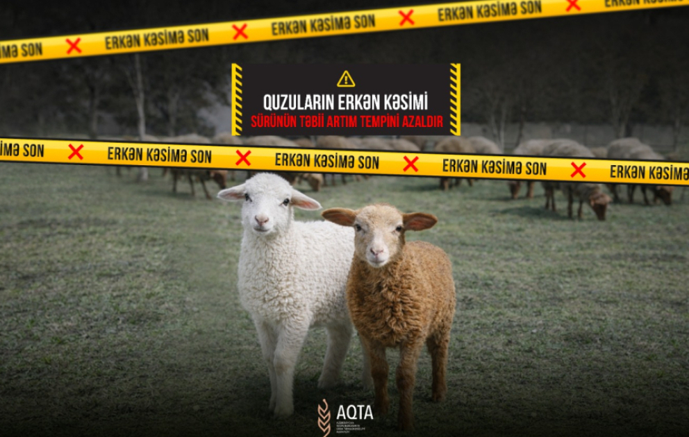 AQTA "Erkən kəsimə son" adlı maarifləndirici kampaniyaya başlayıb VİDEO