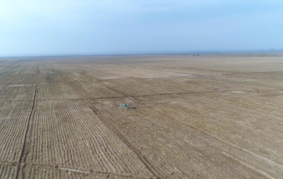 Naxçıvanda 1128 hektar ərazidə yazlıq əkinlər aparılıb VİDEO