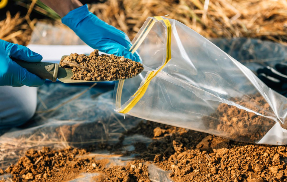 Torpaq və toxum analizinin əkin üçün faydaları nələrdir? VİDEO