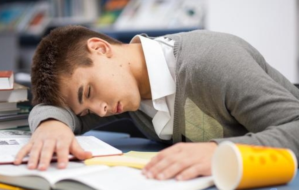 Tətil günlərində şagirdlər balansı necə qorumalıdır? VİDEO