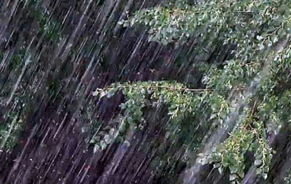 Güclü yağışlarla əlaqədar daşqın və subasma gözlənilir XƏBƏRDARLIQ VİDEO