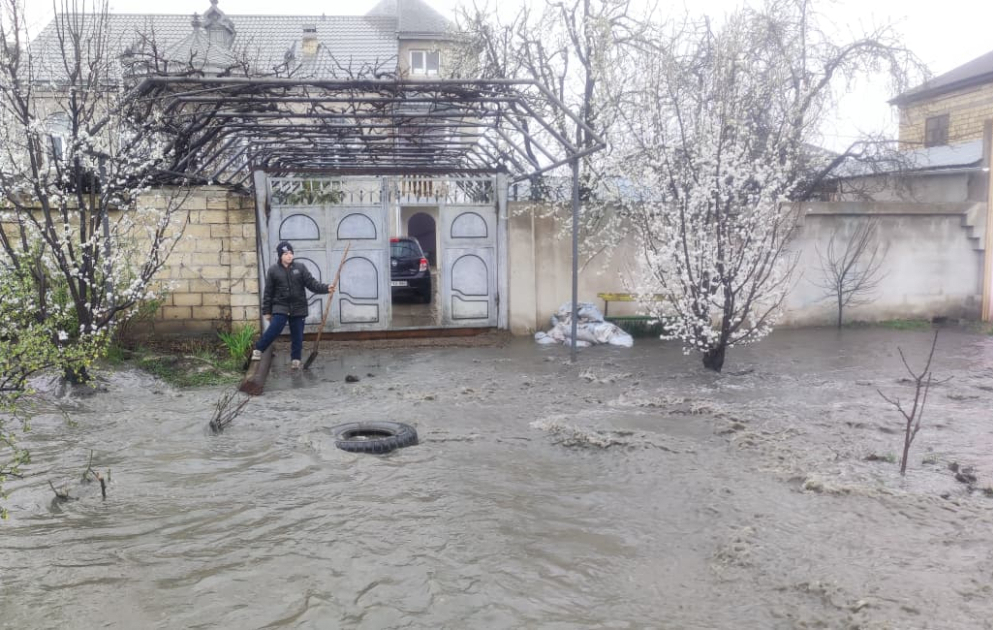 Qubada kanalizasiya borusu tutulub, 10-dan çox həyəti çirkab suları basıb VİDEO