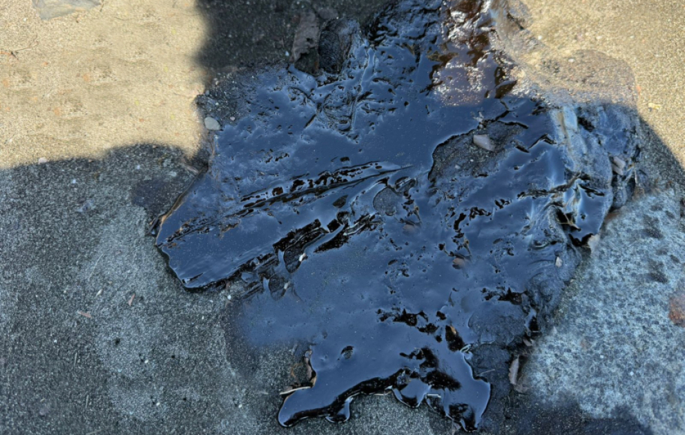 Xəzərin Lənkəran sahillərində neft qalıqlarının yayılması ilə əlaqədar AÇIQLAMA VİDEO