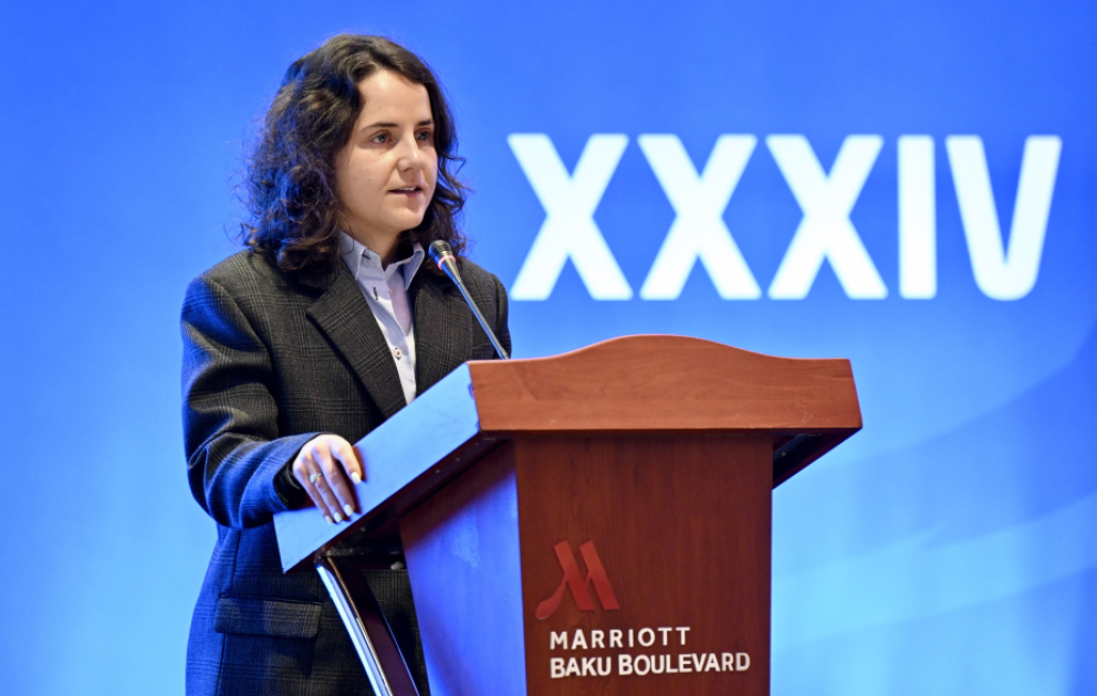 FIFA rəsmisi: Biz Azərbaycana böyük etimad göstəririk VİDEO