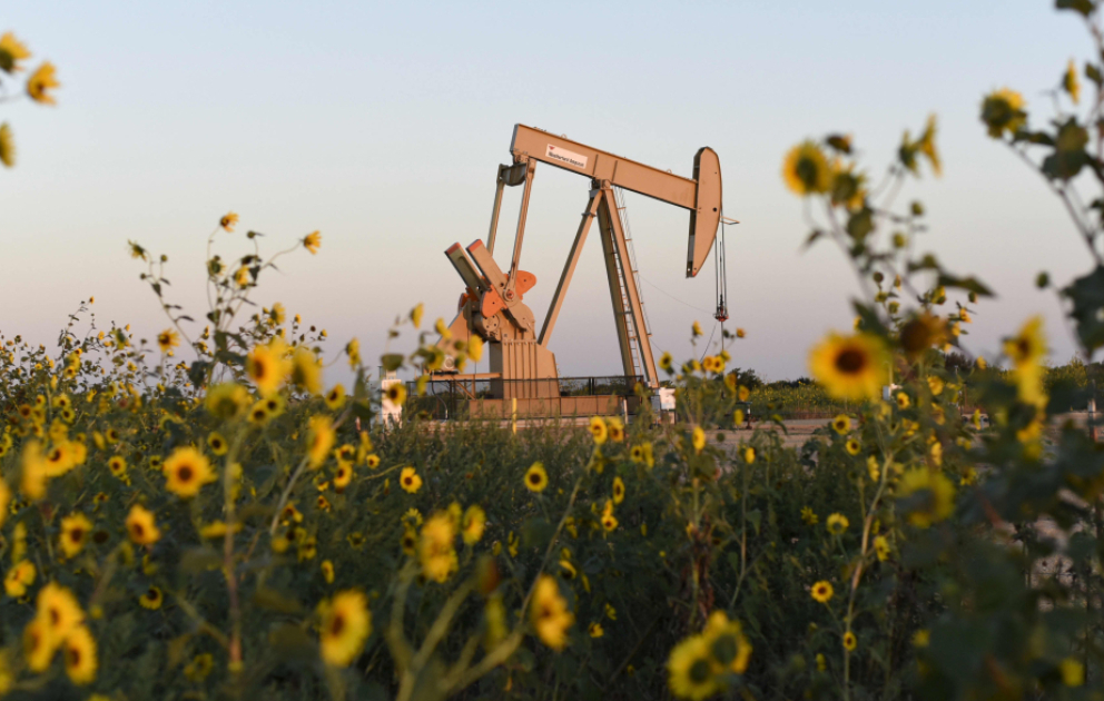 Цены на нефть подорожали на мировых биржах ВИДЕО