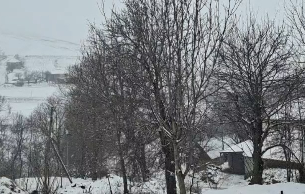 Tovuzun ucqar dağ kəndlərinə qar yağır VİDEO