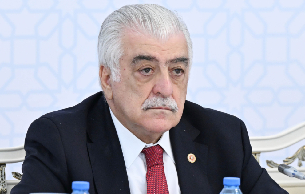 Şamil Ayrım: TDT-nin Azərbaycanın sədrliyi dövründə daha da fəallaşması mühüm irəliləyişdir VİDEO