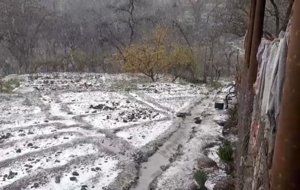 Şahbuz və Ordubada qar yağır VİDEO