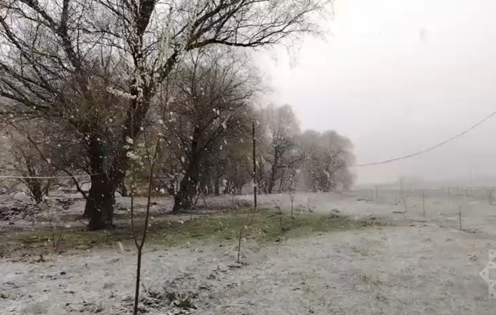 Снежный пейзаж в середине весны в Лачине ВИДЕО