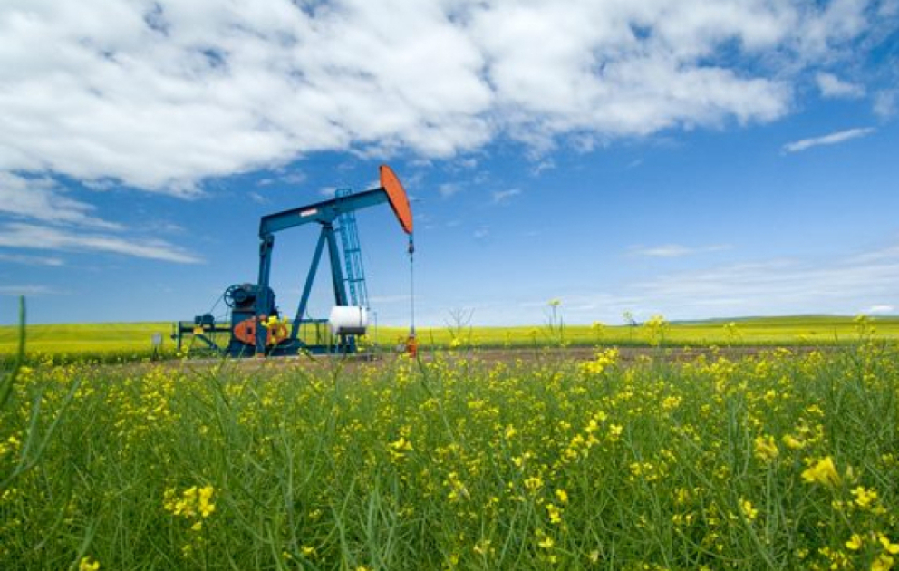На мировых биржах снизились цены на нефть ВИДЕО