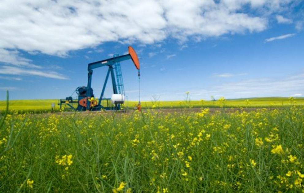 Oil prices rise in global markets VIDEO