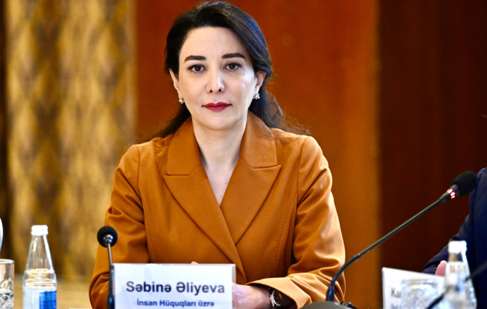 Əqli mülkiyyət hüquqlarının müdafiəsi Ombudsman Aparatının əsas fəaliyyət istiqamətlərindəndir VİDEO