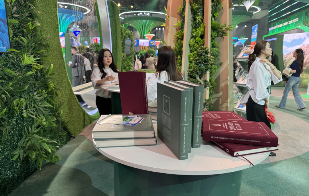Азербайджан представил свой павильон на выставке RES 2026 EXPO в Астане ВИДЕО