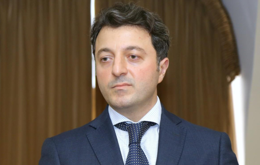 Депутат: Милли Меджлис выстраивает отношения с международными организациями на принципах честного и конструктивного диалога ВИДЕО