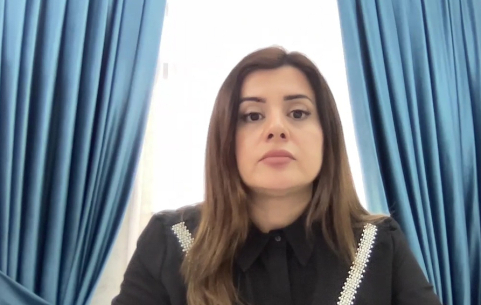 Deputat: Son illərdə Avropa Parlamenti demokratiya kartından təzyiq vasitəsi kimi istifadə edir VİDEO
