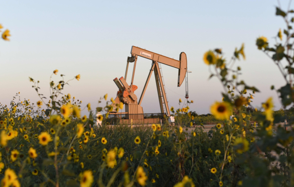 Oil prices fall in global markets VIDEO