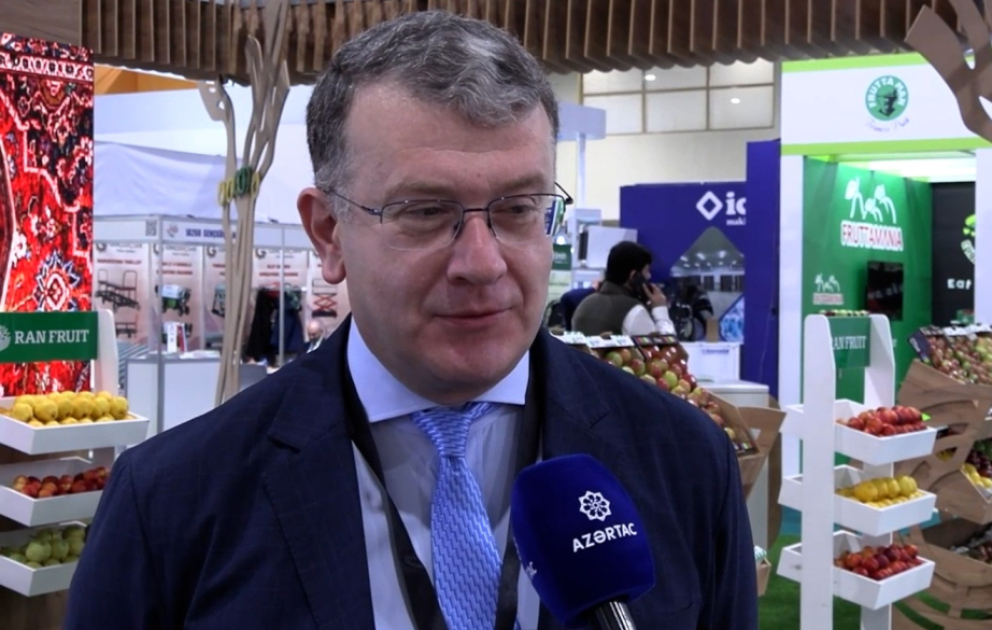 Замминистра: Грузия и Азербайджан имеют большие перспективы сотрудничества в аграрной сфере ВИДЕО