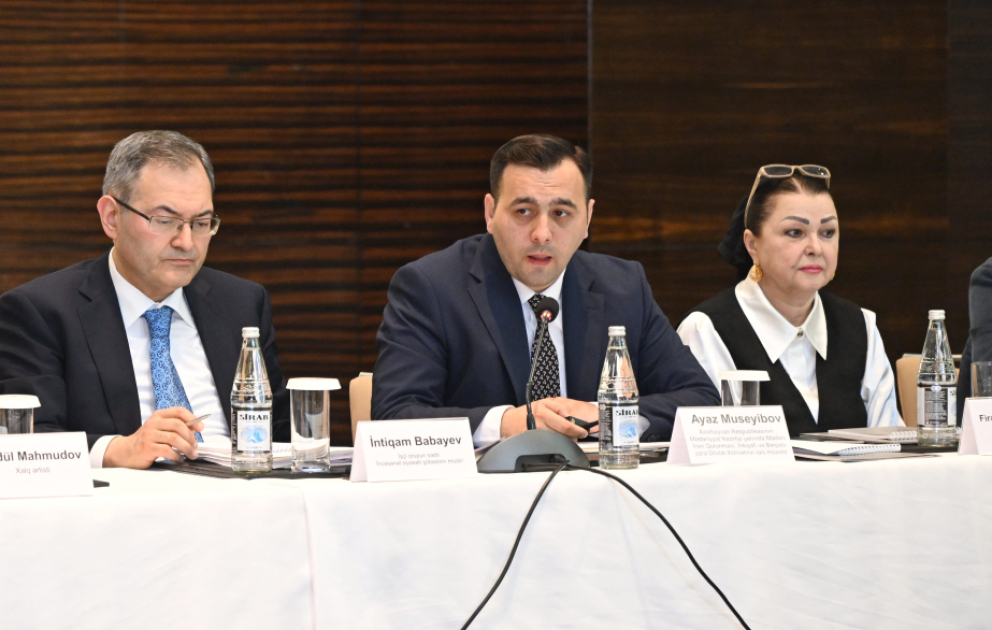 Ayaz Müseyibov: İncəsənətin inkişafı üçün yeni strategiyalar müəyyənləşdiriləcək VİDEO