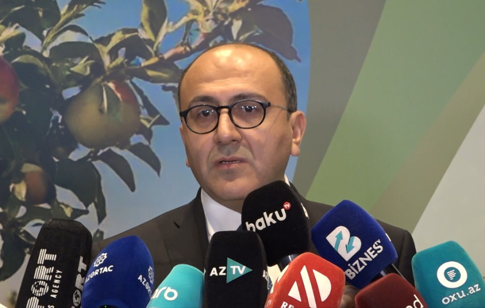 Yalçın Camalov: Hər il 400 mindən çox fermerə əkin subsidiyası ödənilir VİDEO