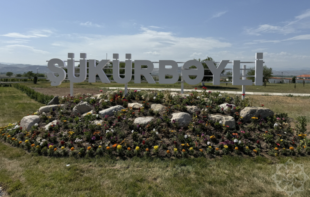 Böyük Qayıdışın növbəti ünvanı – Şükürbəyli kəndində həyat yenidən canlanır VİDEO