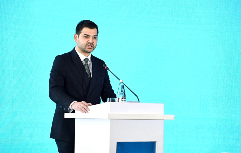TÜRKPA Baş katibinin müavini: Türk dünyası artıq ortaq strateji hədəflər ətrafında birləşə bilir VİDEO