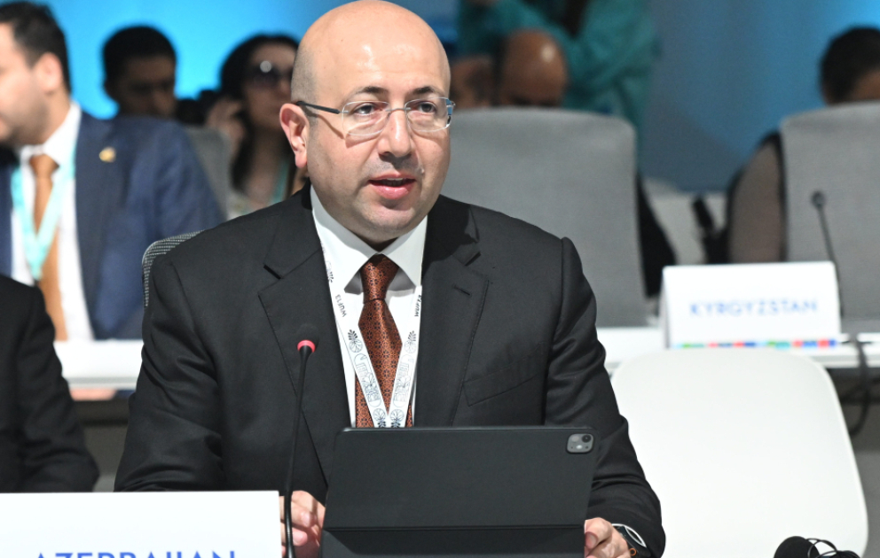 Milli koordinator: Assambleyalar bizim ən güclü dəyərləri təmsil edir VİDEO