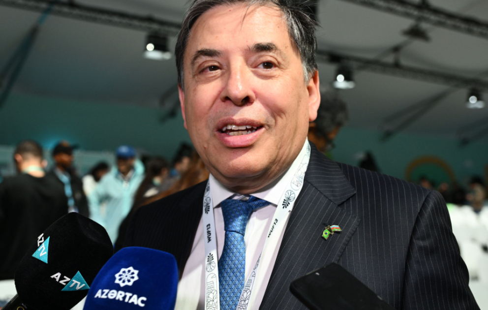 Braziliya səfiri: Azərbaycanın təcrübələrini öyrənəcəyik VİDEO