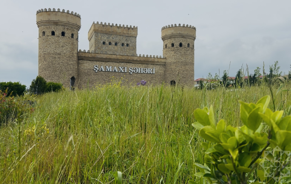 Şamaxı WUF13 çərçivəsində xarici qonaqlara Azərbaycanın turizm zənginliyini nümayiş etdirəcək - REPORTAJ VİDEO