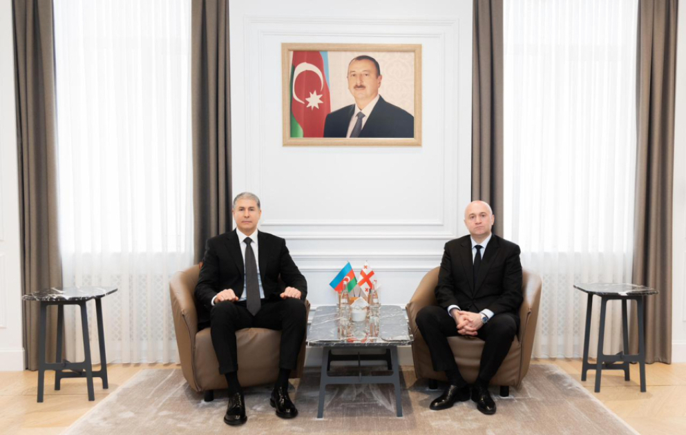 Daxili işlər naziri Vilayət Eyvazov gürcüstanlı həmkarı ilə görüşüb VİDEO