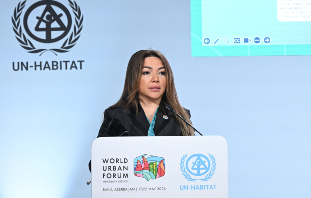 Aygün Əliyeva: İnklüziv cəmiyyətin formalaşmasında vətəndaş cəmiyyəti institutlarının iştirakı xüsusilə mühüm rol oynayır VİDEO