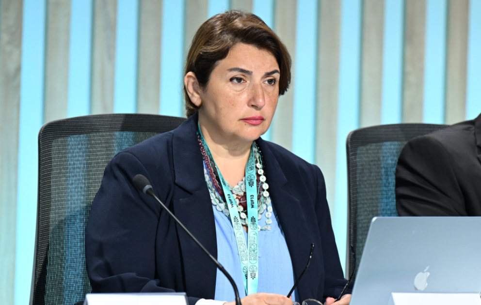 Şəfəq Mehrəliyeva: Qlobal təşəbbüslərin cəmiyyətə çatdırılmasında medianın peşəkarlığı xüsusi əhəmiyyət daşıyır VİDEO